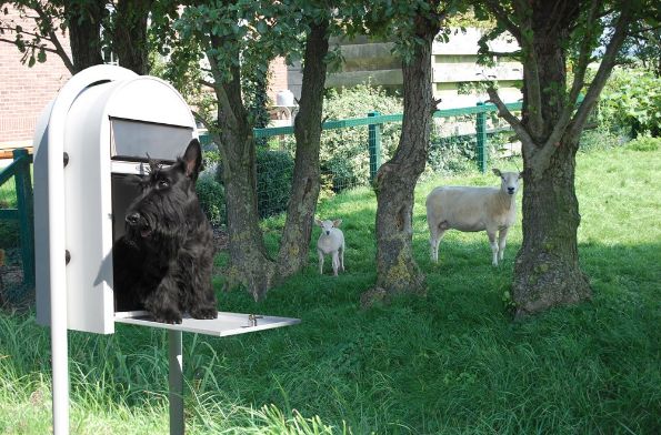 Afbeelding - https-www-ez-catalog-nl-Asset-ceec728e4a6148eda85de44ac9db8e7a-ImageFullSize-grande-live-015-jpg